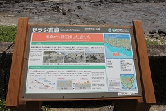 TVw